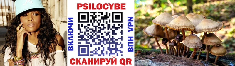 Псилоцибиновые грибы мухоморы  Новокузнецк 